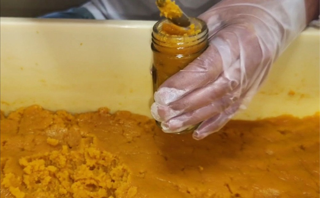 【7営業日以内発送】長崎の伝統と発祥の味 からすみ 70g + 生からすみ 70g 詰合せ （合計140g） ／ カラスミ 生カラスミ 魚卵 つまみ 鰡 ボラ ぼら 珍味 詰め合わせ セット 九州 長崎県 長崎市 冷蔵