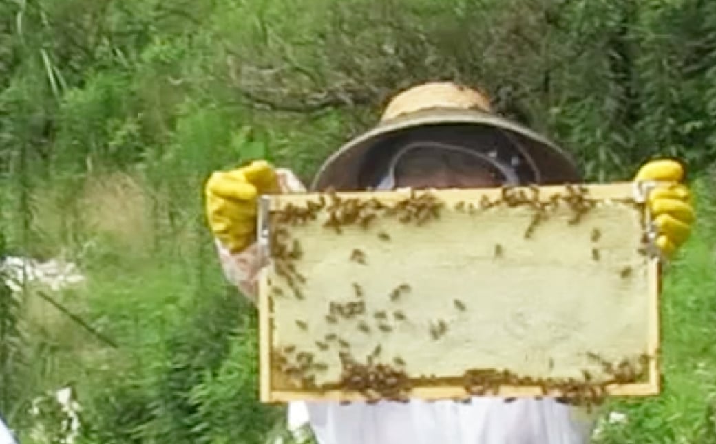 おしゃれなハチミツのプチお土産 200g瓶×6本セット 合計1.2kg ／ 蜂蜜 はちみつ 非加熱 国産 非常食 長期保存 長崎県 長崎市