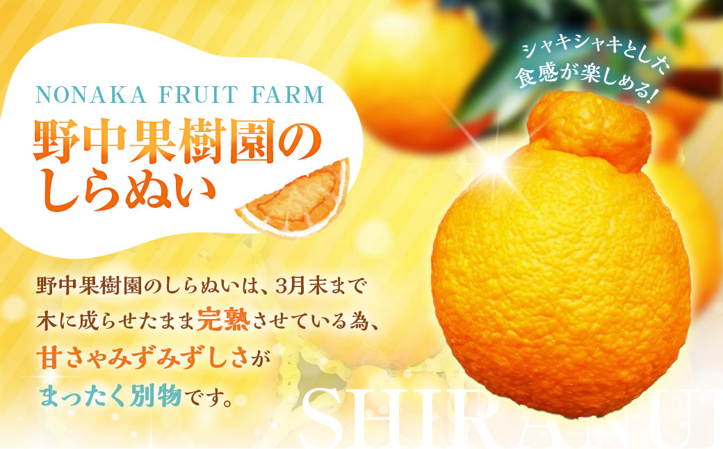 å
è¡äºçŽ äžç¥ç« çŽ3kgã»ãã ïŒ å£ç¯éå® ææ© ããã〠ããã¬ã ãã«ãŒã æç© é·åŽç é·åŽåž éäžææš¹å ãªã³ã©ã€ã³æ±ºæžéå® ã¢ãã¿ãŒä¿èšŒ ã2026幎3æäžæ¬-äžæ¬è¿çºéäºå®ã