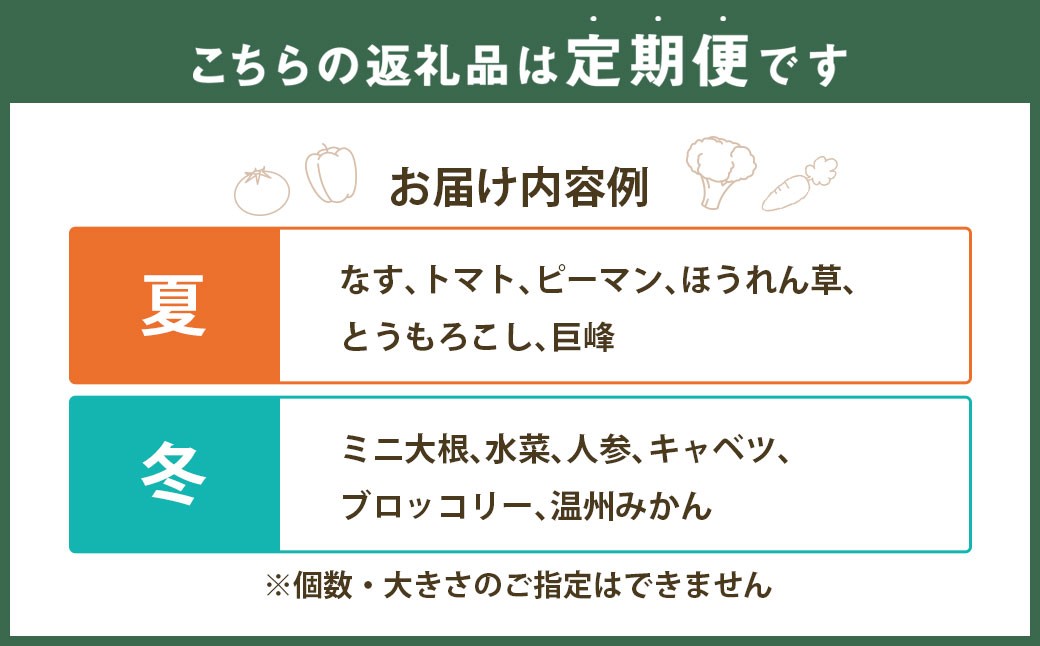 【6回定期便】 隔月コース 定番の野菜フルーツセット 6品目以上 ／ 配送 詰め合わせ 鮮度 季節 野菜 やさい 果物 くだもの 果実 フルーツ 定番 セット 定期便 定期