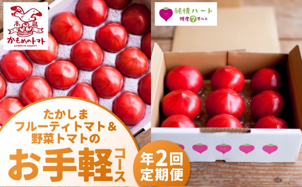 たかしまフルーティトマト＆野菜トマトのお手軽コース 【年2回定期便（2月／3月配送）】 ／ かもめのトマト 情熱ハート 各約3kg 合計約6kg フルーティートマト フルーツトマト トマト とまと 野菜 やさい