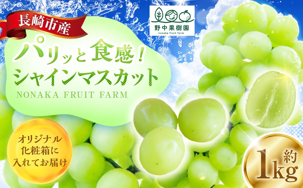 シャインマスカット 約1kg （2～3房） 【2026年8月上旬～下旬発送予定】 ぶどう 果樹園 香り くだもの 果物 果実 フルーツ 葡萄 ブドウ マスカット 果汁 甘み 酸味