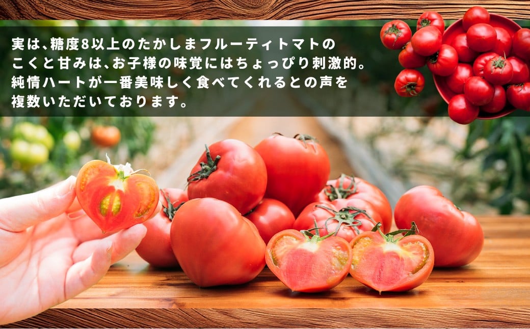 たかしまフルーティトマト 【糖度7度以上】 「純情ハート」 約1kg箱×1 ／ フルーティートマト フルーツトマト トマト とまと 野菜 やさい ケチャップ ピューレ 【2026年2月下旬～4月下旬発送予定】