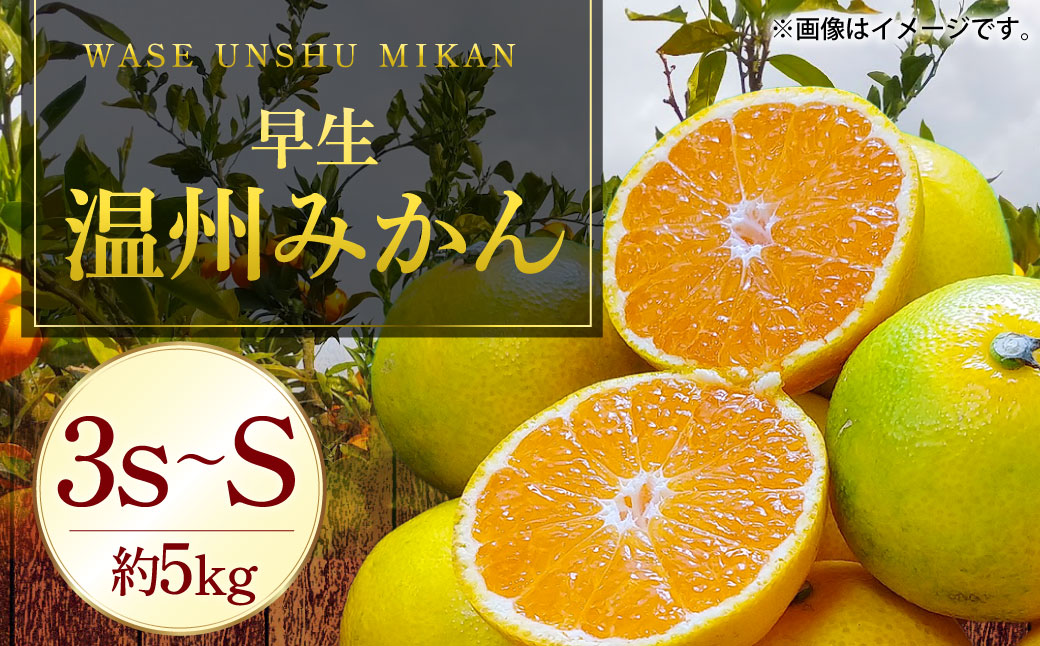 長崎県産 早生温州みかん 3S〜Sサイズ 5kg 小みかん ／ 果物 フルーツ 柑橘 蜜柑 ミカン 温州みかん 早生 小 Sサイズ 国産 大将農園 長崎県 長崎市 【2025年11月下旬〜2026年1月下旬迄発送予定】
