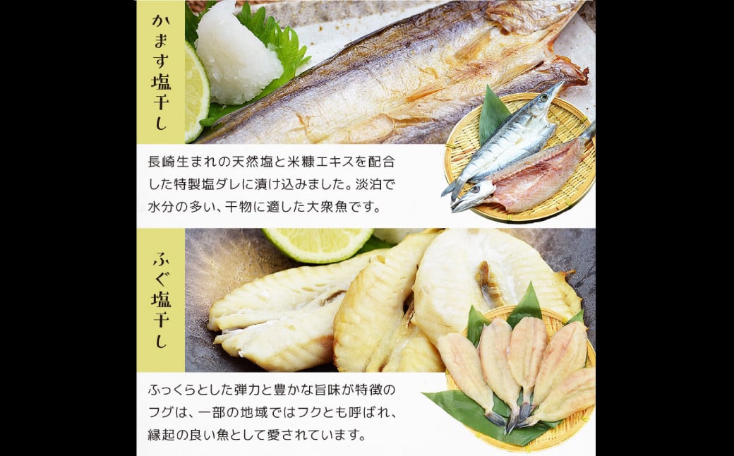 【全3回定期便】【最長2ヵ月前後】長崎 海鮮三昧 ひものセット 干物 魚介 魚