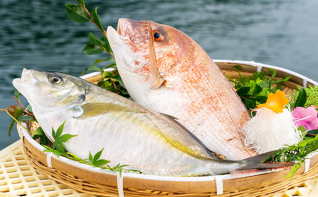長﨑・戸石産 ゆうこうシマアジと真鯛の漬け丼セット ／ 出汁付き タイ まだい 鯵 あじ 魚 フルーツ魚 魚介 海鮮 詰め合わせ 丼 長崎県 長崎市