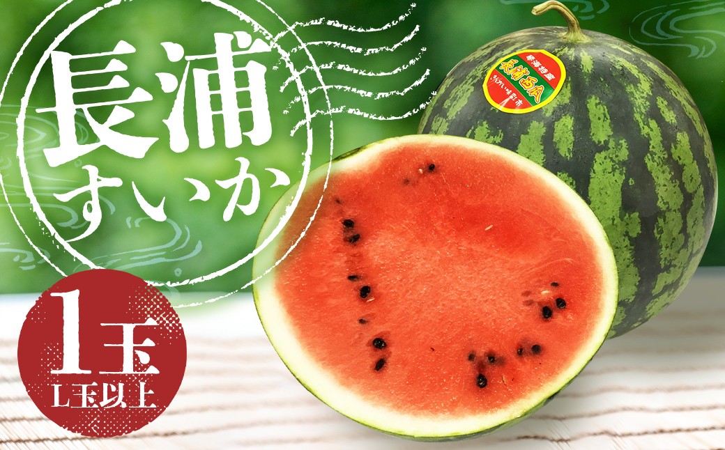 【地元民が愛する幻のすいか】 長浦すいか （L玉以上／6kg～） 【2026年6月上旬～6月下旬迄発送予定】 琴海 果汁 食感 旬 すいか スイカ 西瓜 果物 くだもの 果実 フルーツ 希少
