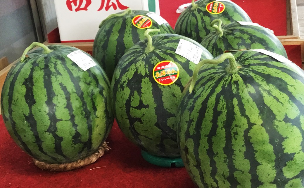 ãå°å
æ°ãæããå¹»ã®ãããã é·æµŠããã ïŒLç以äžïŒ6kgïœïŒ ã2026幎6æäžæ¬ïœ6æäžæ¬è¿çºéäºå®ã çŽæµ· ææ± 飿 æ¬ ããã ã¹ã€ã« è¥¿ç æç© ãã ãã® æå® ãã«ãŒã åžå°