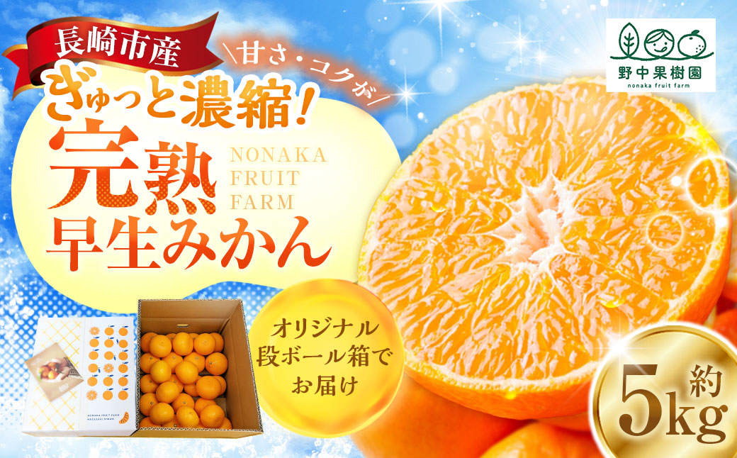 完熟 早生みかん 約5kg箱 ／ 期間限定 柑橘 ミカン フルーツ 果物 くだもの みかん ミカン 野中果樹園 オンライン決済限定 アフター保証 長崎県 長崎市 【2025年11月下旬～12月下旬迄発送予定】