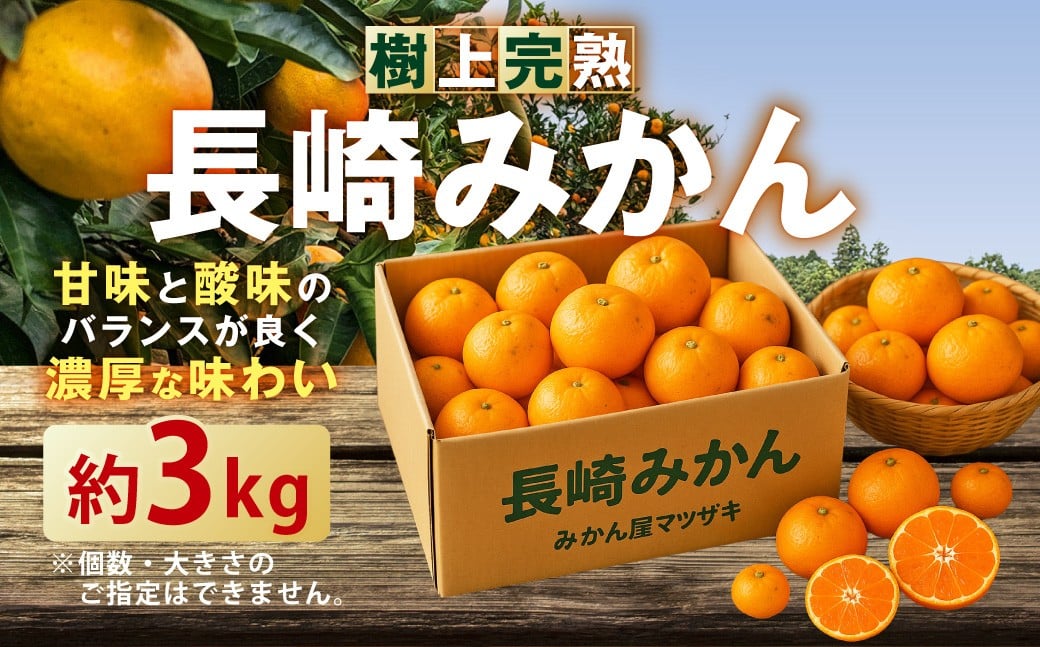 ★受付期間限定★【樹上完熟】 長崎みかん （普通温州） 約3kg 温州蜜柑 温州みかん 蜜柑 みかん ミカン 果物 果実 フルーツ 完熟 長崎県 長崎市 常温 【2025年12月下旬～2026年1月下旬発送予定】