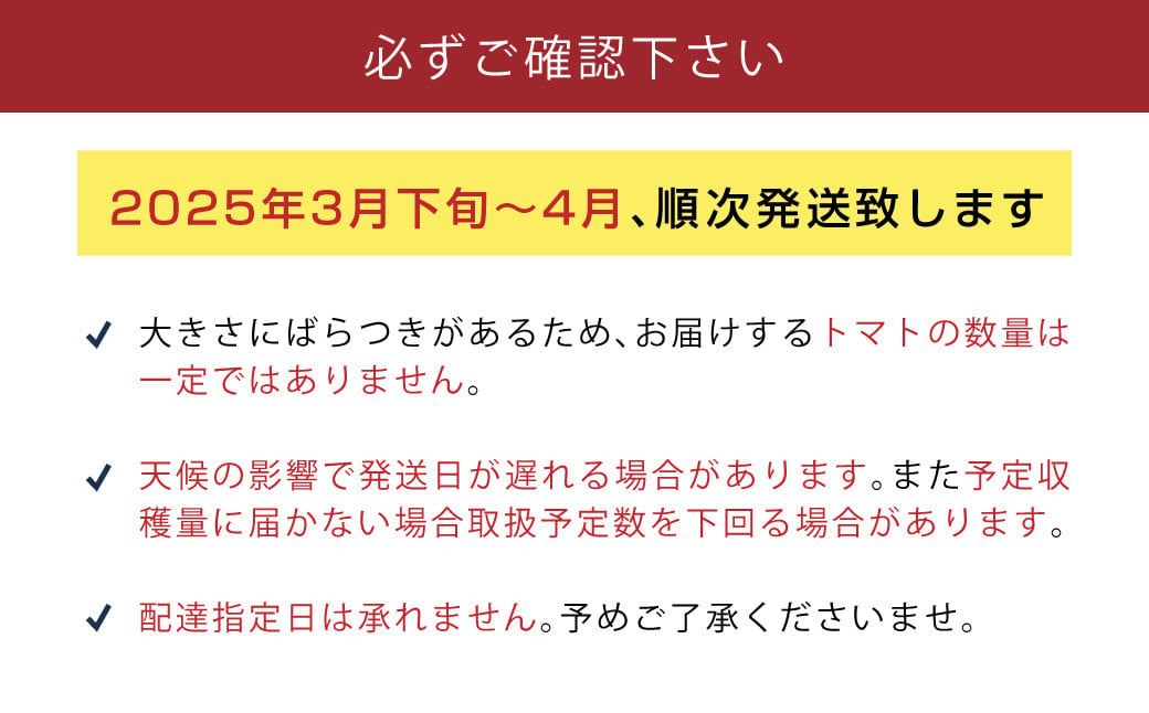 【数量限定 先行予約】たかしまフルーティトマト 「情熱ハート」 1kg箱×1  【2025年3月下旬より順次発送予定】