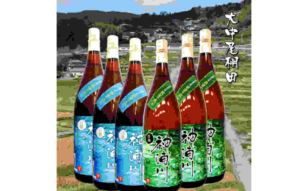 長崎レアもの棚田焼酎 【25゜神浦川】白麹・黒麹芋1800ml 各3本 全6本 ／ 酒 お酒 アルコール 焼酎 晩酌 芋 芋焼酎 お取り寄せ 霧氷酒造 長崎県 長崎市