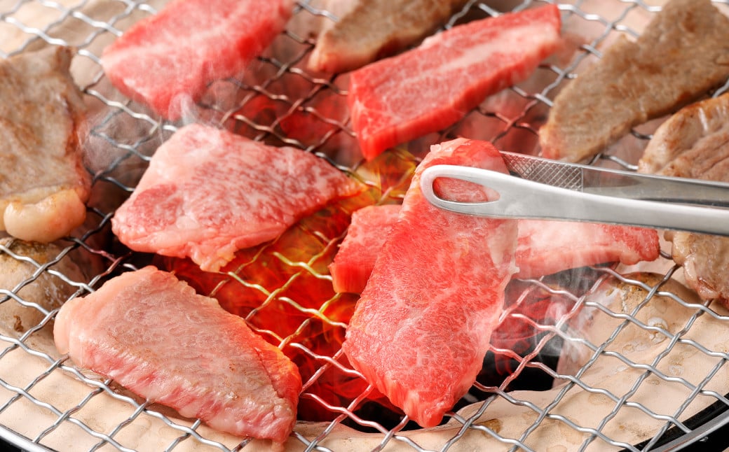 【全6回定期便】【A4ランク以上】長崎和牛 出島ばらいろ 特選焼肉 セット ( ロース カルビ カタロース モモ のいずれか2種類 ) 約300g×2 合計約600g ／ 和牛 国産 お肉 肉 牛肉 牛 焼き肉 焼肉 セット A4等級 BBQ バーベキュー アウトドア 肉のマルシン 出島 長崎県 長崎市