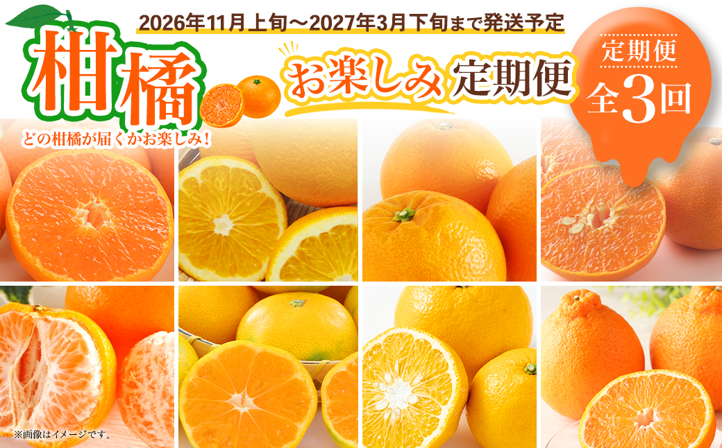 【全3回定期便】春冬限定 柑橘 お楽しみ定期便 みかん ポンカン 不知火等 ／ 早生みかん 中生みかん 甘夏 八朔 伊予柑 果物 フルーツ 長崎 九州 定期便 【2026年11月上旬～2027年3月下旬迄発送予定】