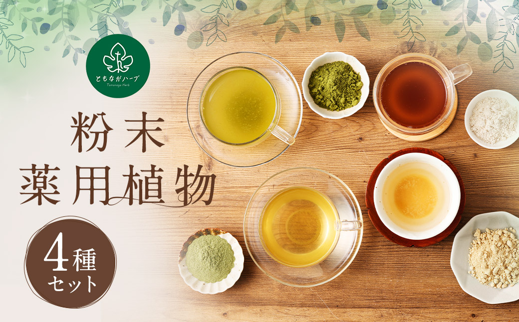 【14営業日以内発送】粉末 薬用植物の人気 4種セット 薬草 健康食品 ／ 調味料 ショウガ キクイモ 薬草 手軽 長崎県 長崎市