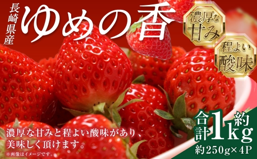 長崎県産いちご ゆめの香 約1kg (250g×4パック) ／ 果物 くだもの フルーツ イチゴ 苺 長崎県 長崎市 【2025年11月下旬-2026年3月下旬迄発送予定】