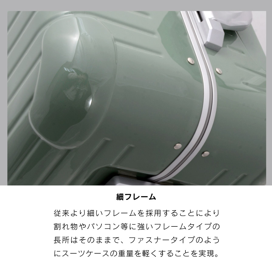 G585 DL-2823 スーツケース M リーフグリーン