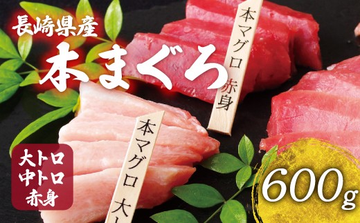 A121p 長崎県産 本マグロ (大トロ・中トロ・赤身)  計600g以上 海鮮丼のタレ付き 真空パック後に超速冷凍【本家永松家】マグロ まぐろ 鮪 大トロ 大とろ 中トロ 中とろ 赤身 刺身 海鮮丼