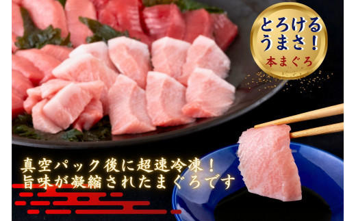 A121p 長崎県産 本マグロ (大トロ・中トロ・赤身)  計600g以上 海鮮丼のタレ付き 真空パック後に超速冷凍【本家永松家】マグロ まぐろ 鮪 大トロ 大とろ 中トロ 中とろ 赤身 刺身 海鮮丼
