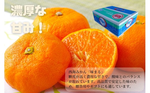 【 早期受付 】 西海みかん ｢ 味まる ｣ 5kg 産地直送 ブランドみかん 糖度 12度以上 新鮮 家庭用 温州みかん 佐世保みかん フルーツ 柑橘 オレンジ デザート ジュース ゼリー JA西海 長崎県 佐世保市