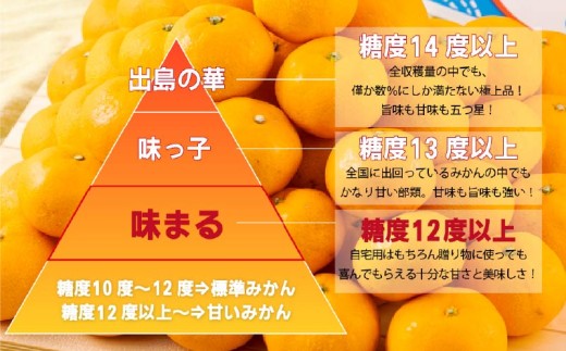 【 早期受付 】 西海みかん ｢ 味まる ｣ 5kg 産地直送 ブランドみかん 糖度 12度以上 新鮮 家庭用 温州みかん 佐世保みかん フルーツ 柑橘 オレンジ デザート ジュース ゼリー JA西海 長崎県 佐世保市