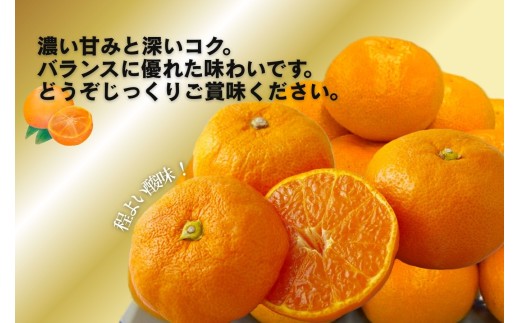【 早期受付 】 西海みかん ｢ 味まる ｣ 3kg 産地直送 ブランドみかん 糖度 12度以上 新鮮 家庭用 温州みかん 佐世保みかん フルーツ 柑橘 オレンジ デザート ジュース ゼリー JA西海 長崎県 佐世保市