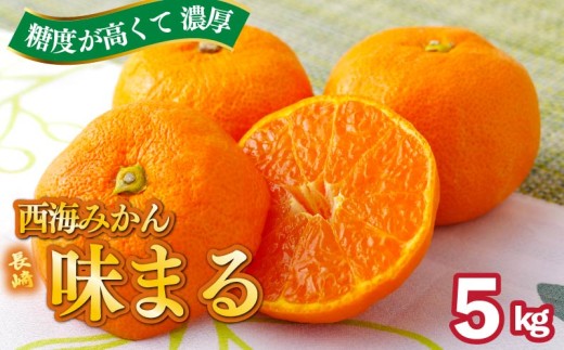 【 早期受付 】 【 12月発送 】 西海みかん ｢ 味まる ｣ 5kg 産地直送 ブランドみかん 糖度 12度以上 新鮮 家庭用 温州みかん 佐世保みかん フルーツ 柑橘 オレンジ デザート ジュース ゼリー にも最適 JA西海 長崎県 佐世保市