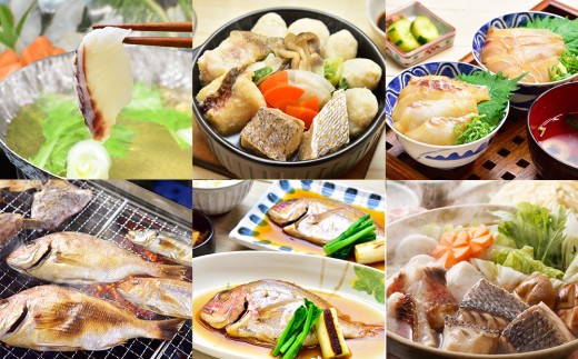 A503《定期便》旬の九十九島高島美食めぐり【6回お届け】