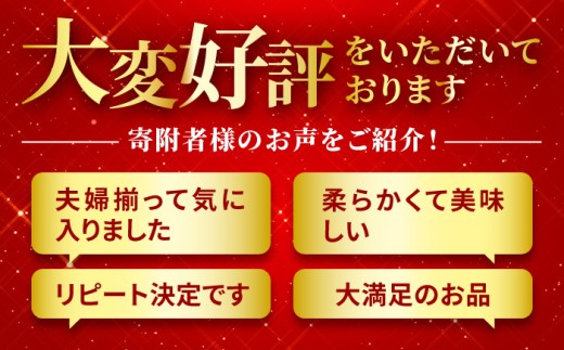 【 希少 部位 】 長崎県産 牛 ヒレ ステーキ 480g ( 120g × 4 ) 産地直送 新鮮 冷凍 国産 和牛 牛肉 ヒレ フィレ ビーフ ディナー バーベキュー BBQ ギフト 贈答 長崎県 佐世保市