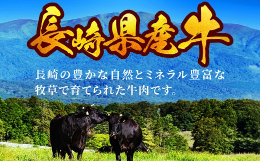【 希少 部位 】 長崎県産 牛 ヒレ ステーキ 480g ( 120g × 4 ) 産地直送 新鮮 冷凍 国産 和牛 牛肉 ヒレ フィレ ビーフ ディナー バーベキュー BBQ ギフト 贈答 長崎県 佐世保市