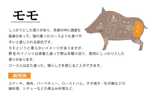 B422b ジビエ平戸いのししモモブロック肉(1.3kg以上)猪肉 人気 天然 イノシシ肉 ジビエ肉 もも肉 BBQ 焼肉 角煮 唐揚げ ロースト ジビエカレー