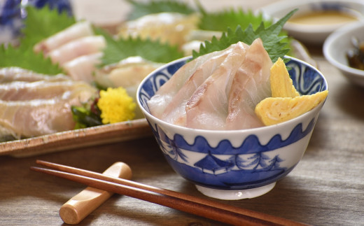 【 海鮮セット 】 九十九島 海鮮 紀行 （ お刺身 海鮮丼 ）セット 厳選 産地直送 お楽しみ 旬 鮮魚 鯛 真鯛 クエ タイ マダイ コロダイ 魚介 魚 よか魚 長崎県 佐世保市