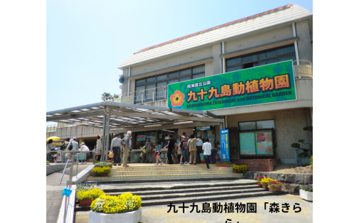 H147 豬キ縺阪i繧会ス・譽ョ縺阪i繧牙・蝣エ蠑墓鋤蛻ク(螟ァ莠コ4蜷)