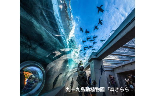 H147 豬キ縺阪i繧会ス・譽ョ縺阪i繧牙・蝣エ蠑墓鋤蛻ク(螟ァ莠コ4蜷)