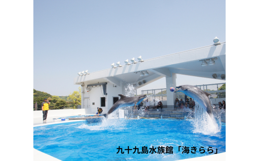 H147 豬キ縺阪i繧会ス・譽ョ縺阪i繧牙・蝣エ蠑墓鋤蛻ク(螟ァ莠コ4蜷)
