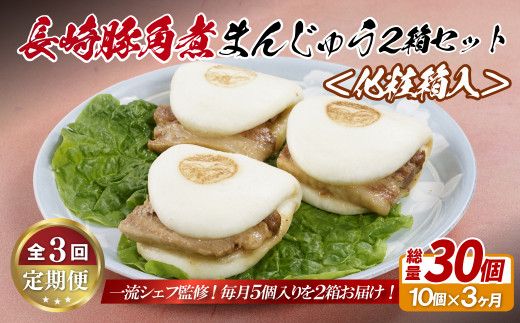 E328p 長崎豚角煮まんじゅう10個(5入を2箱)〈化粧箱入〉【3回定期便】