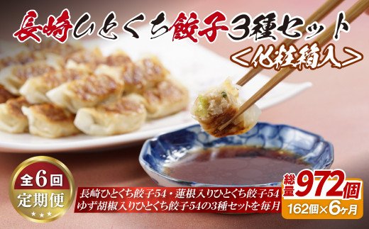 E313p 長崎ひとくち餃子3種セット〈化粧箱入〉【6回定期便】