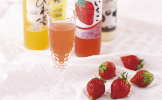 C114a 炭酸割りがGOOD!果肉入りフルーツリキュール10種10本
