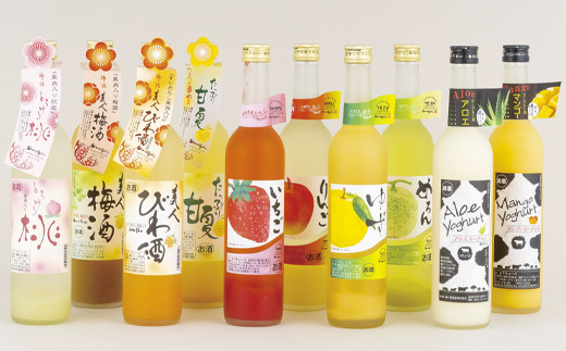 C114a 炭酸割りがGOOD!果肉入りフルーツリキュール10種10本