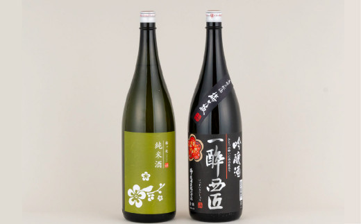 C102b スッキリ吟醸酒としっかり純米酒やや辛口一升瓶セット