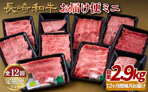 B245p 《定期便》長崎和牛お届け便ミニ(12回) 牛肉 国産 ブランド 和牛 黒毛和牛