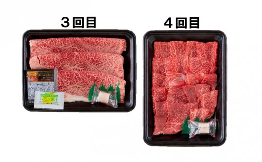 B248p 縲雁ョ壽悄萓ソ縲矩聞蟠主柱迚幄オ、霄ォ縺雁ア翫¢萓ソ繝溘ル(6蝗) 迚幄i 蝗ス逕」 繝悶Λ繝ウ繝 蜥檎央 鮟呈ッ帛柱迚