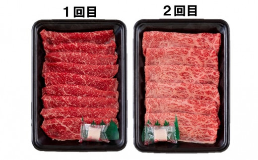 B248p 縲雁ョ壽悄萓ソ縲矩聞蟠主柱迚幄オ、霄ォ縺雁ア翫¢萓ソ繝溘ル(6蝗) 迚幄i 蝗ス逕」 繝悶Λ繝ウ繝 蜥檎央 鮟呈ッ帛柱迚