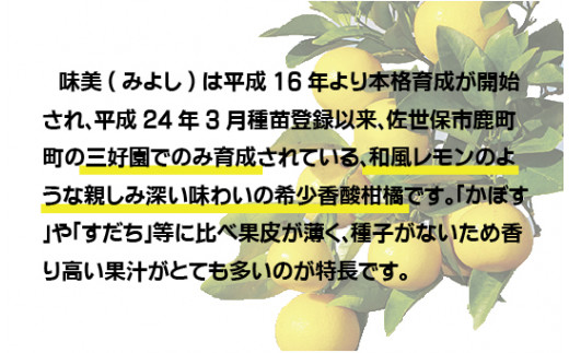 C171p 蟷サ縺ョ鬥咎ク縺九s縺阪▽蜻ウ鄒(譁ー遞ョ蜥後Ξ繝「繝ウ)繧剃スソ縺」縺溘∩繧医昴Φ5譛ャ