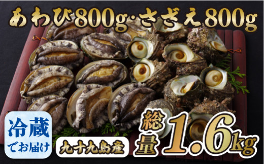 A177a 九十九島あわび(800g)･さざえ(800g)