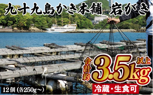 【 産地直送 】 九十九島 産 岩がき 3.5kg 以上 大容量 新鮮 冷蔵 生食 牡蠣 かき オイスター  九十九島かき本舗 長崎県 佐世保市 B