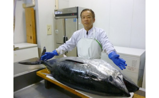 A144p 縲宣囈譛6蝗槫ョ壽悄萓ソ 邱剰ィ3.6kg縲第悽繝槭げ繝ュ (螟ァ繝医Ο繝サ荳ュ繝医Ο繝サ襍、霄ォ) 險600g莉・荳 髟キ蟠守恁逕」 豬キ魄ョ荳シ縺ョ繧ソ繝ャ莉倥″縲先悽螳カ豌ク譚セ螳カ縲代槭げ繝ュ 縺セ縺舌m 魄ェ 螟ァ縺ィ繧 荳ュ縺ィ繧 襍、霄ォ 蛻コ霄ォ 螳壽悄萓ソ