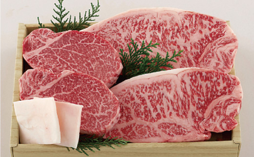 B139p 長崎 和牛 サーロイン ･ ヒレ肉 ステーキ 食べ比べ セット