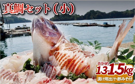 九十九島産 真鯛 フィーレ 3枚 セット 1.3～1.5kg 下処理済 新鮮 産地直送 鯛 タイ 鮮魚 刺身 鯛鍋 鯛飯 鯛茶漬け 一成水産 長崎県 佐世保市