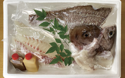 九十九島産 真鯛 フィーレ 3枚 セット 1.3～1.5kg 下処理済 新鮮 産地直送 鯛 タイ 鮮魚 刺身 鯛鍋 鯛飯 鯛茶漬け 一成水産 長崎県 佐世保市
